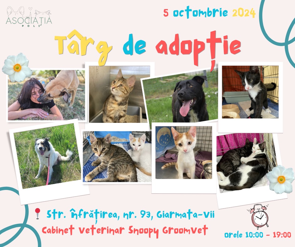 Târg de adopții - Asociația Poli
